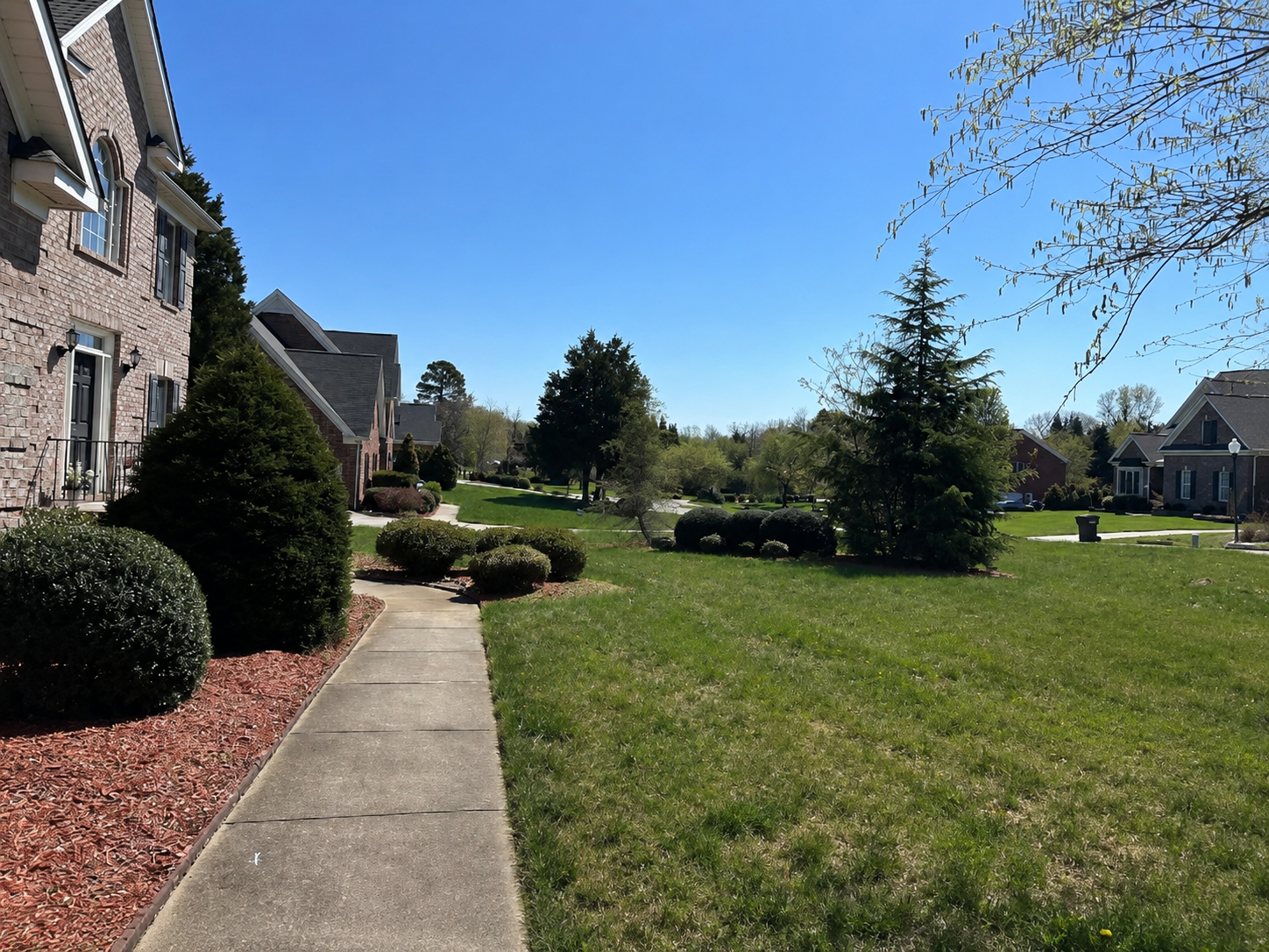 Before lawn care service