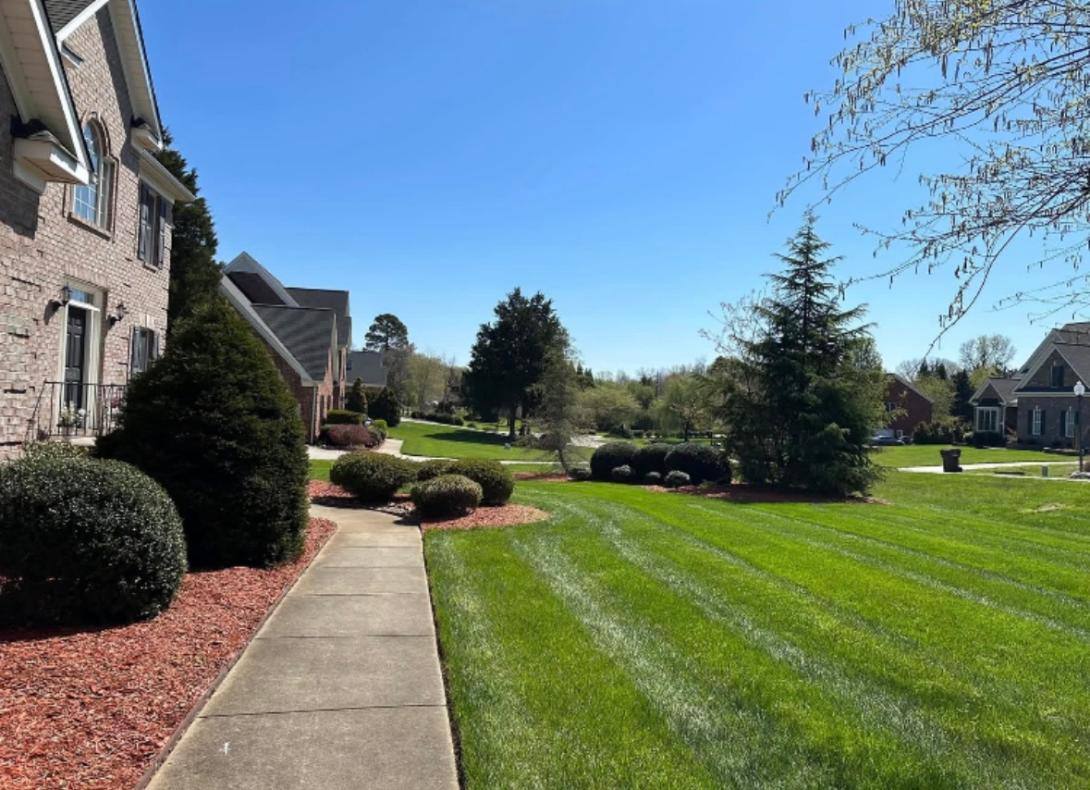After lawn care service