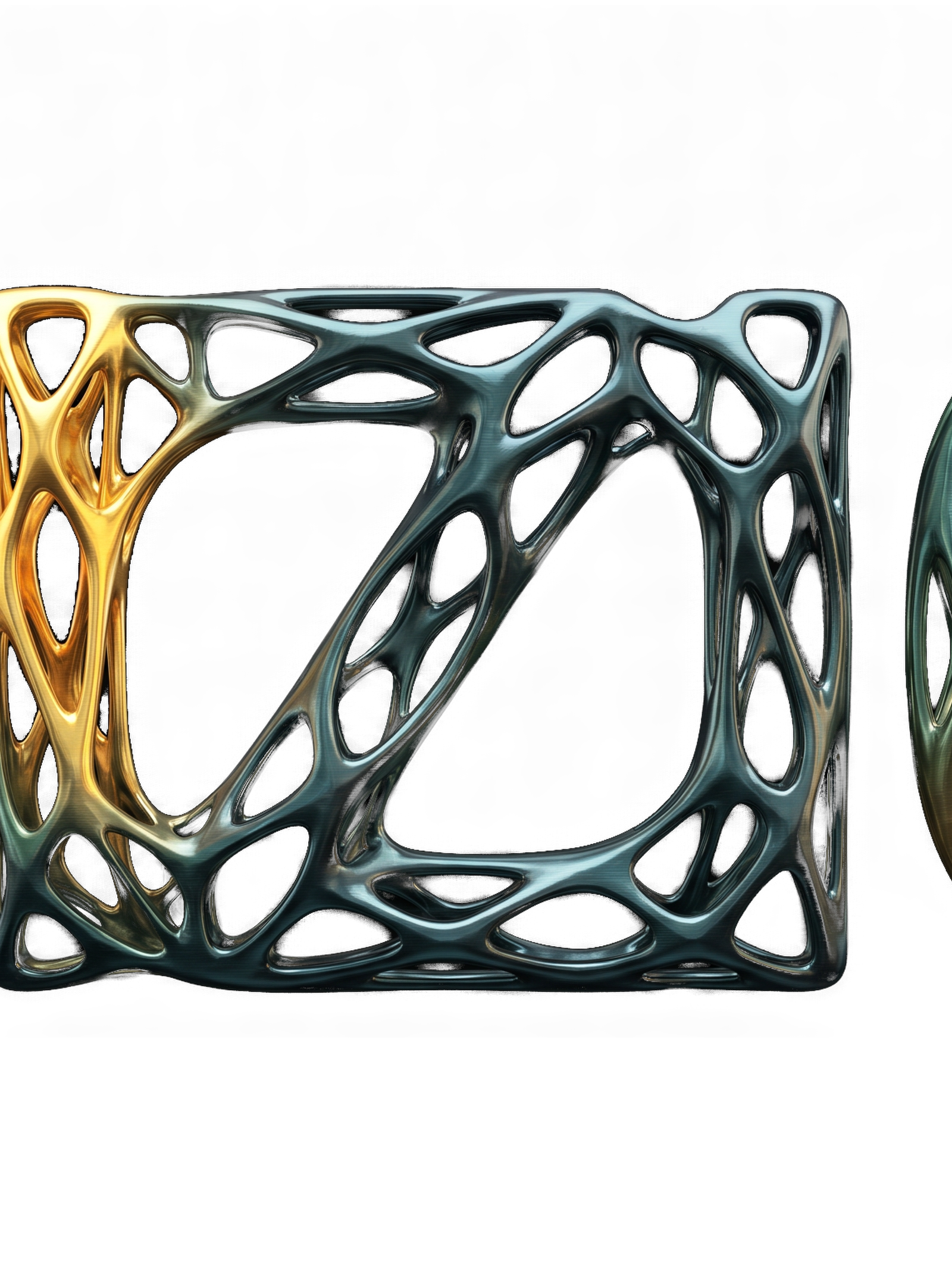 fiziq logo00086411