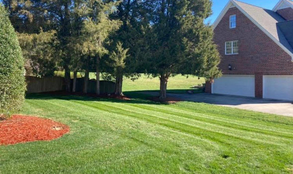lawn care 1