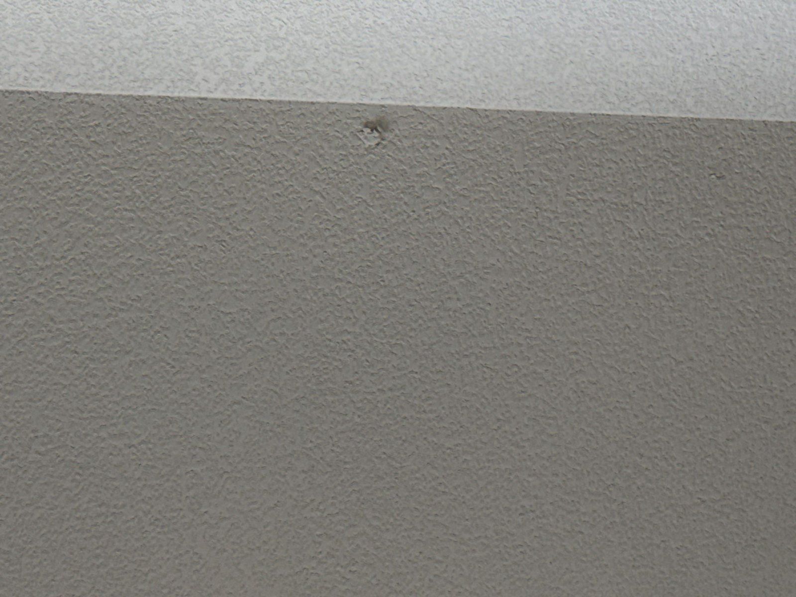 Interior wall ahead of drywall repair and painting in Round Rock, TX by Hill Country Painting