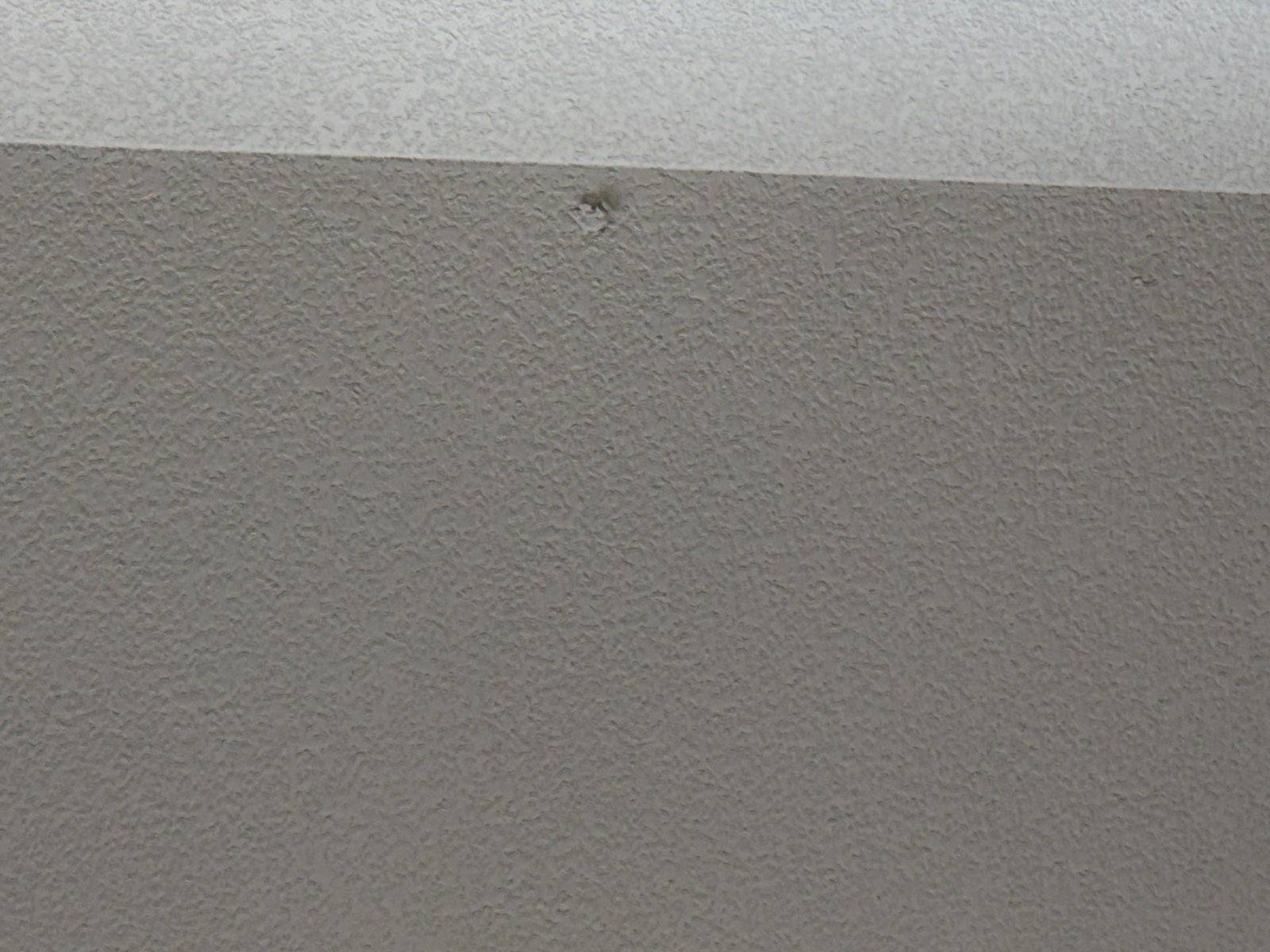 Interior wall ahead of drywall repair and painting in Round Rock, TX by Hill Country Painting