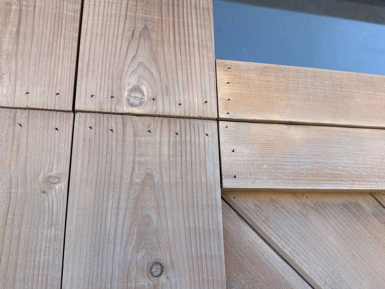 Garage door wood grain detail ahead of staining in Austin, TX by Hill Country Painting