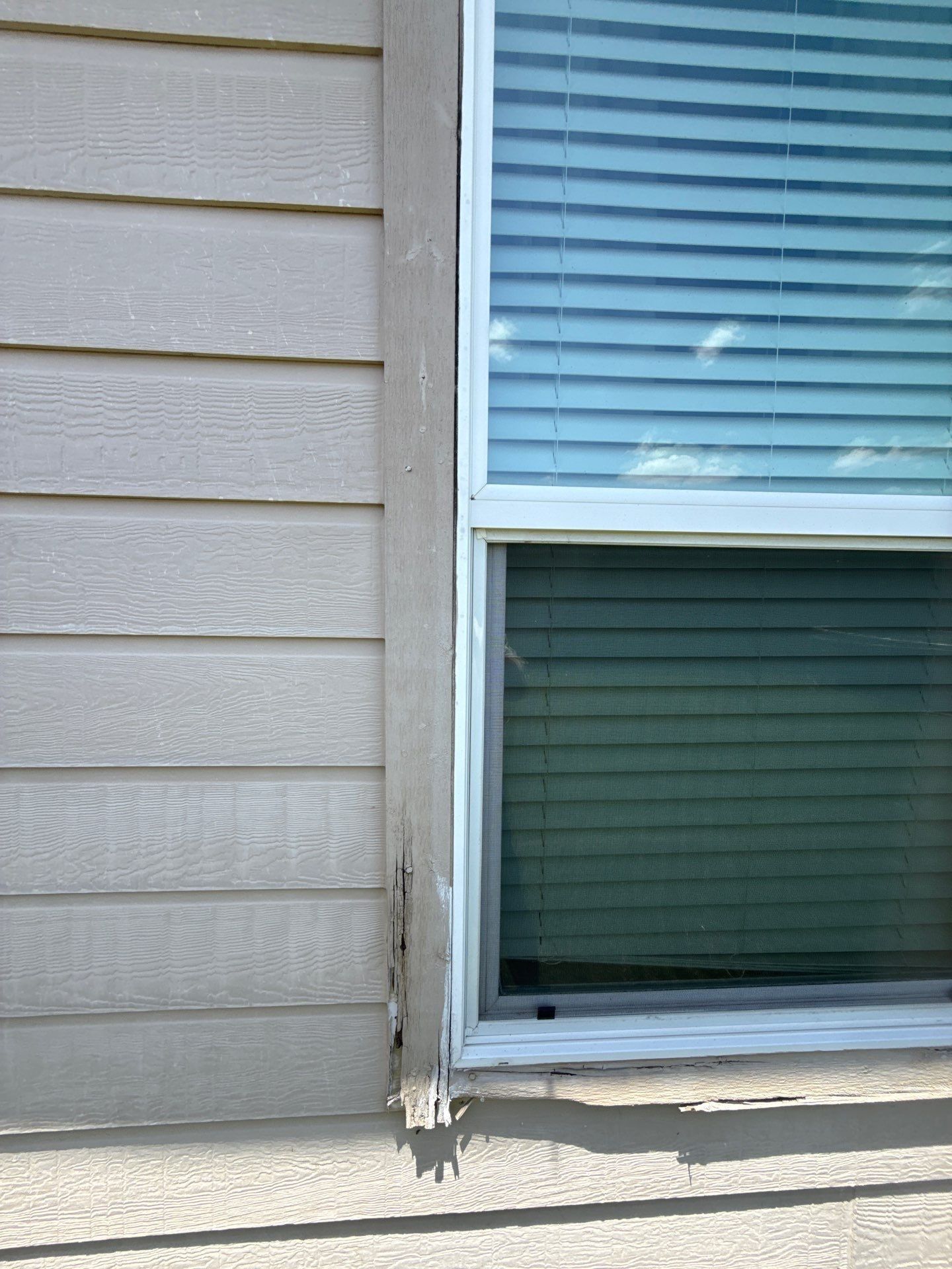 Backyard window detail ahead of painting
