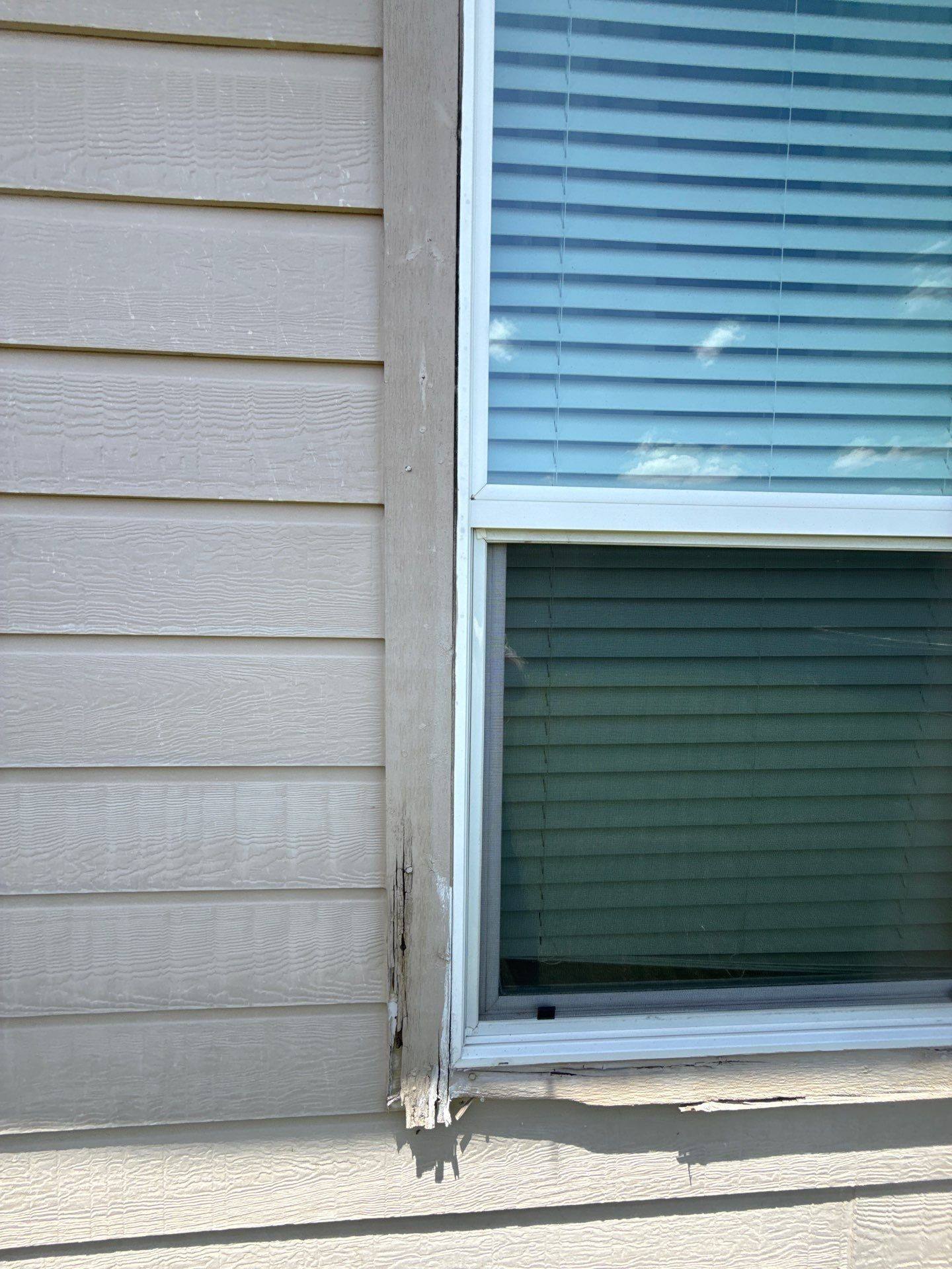 Backyard window detail ahead of painting
