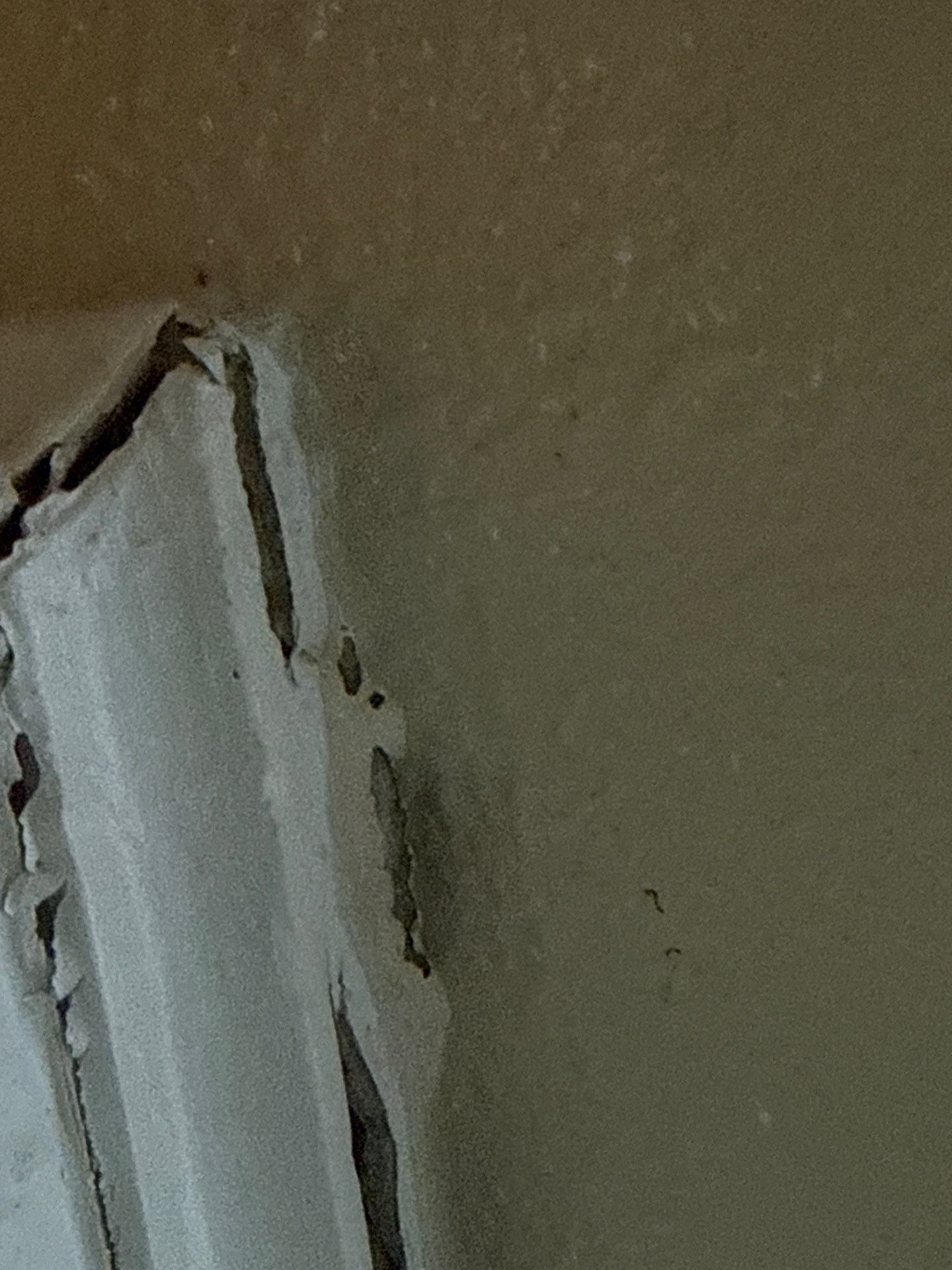 Kitchen trim and door frame corner ahead of painting