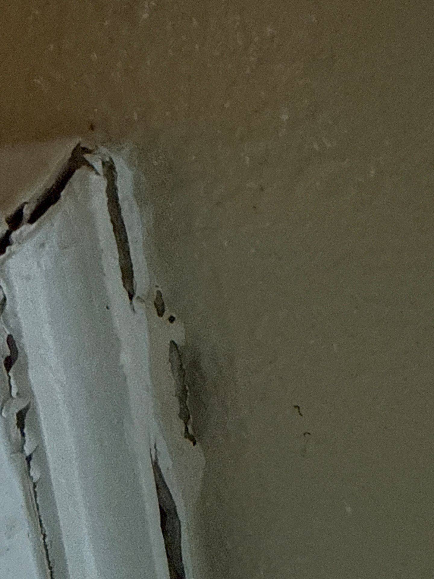 Kitchen trim and door frame corner ahead of painting