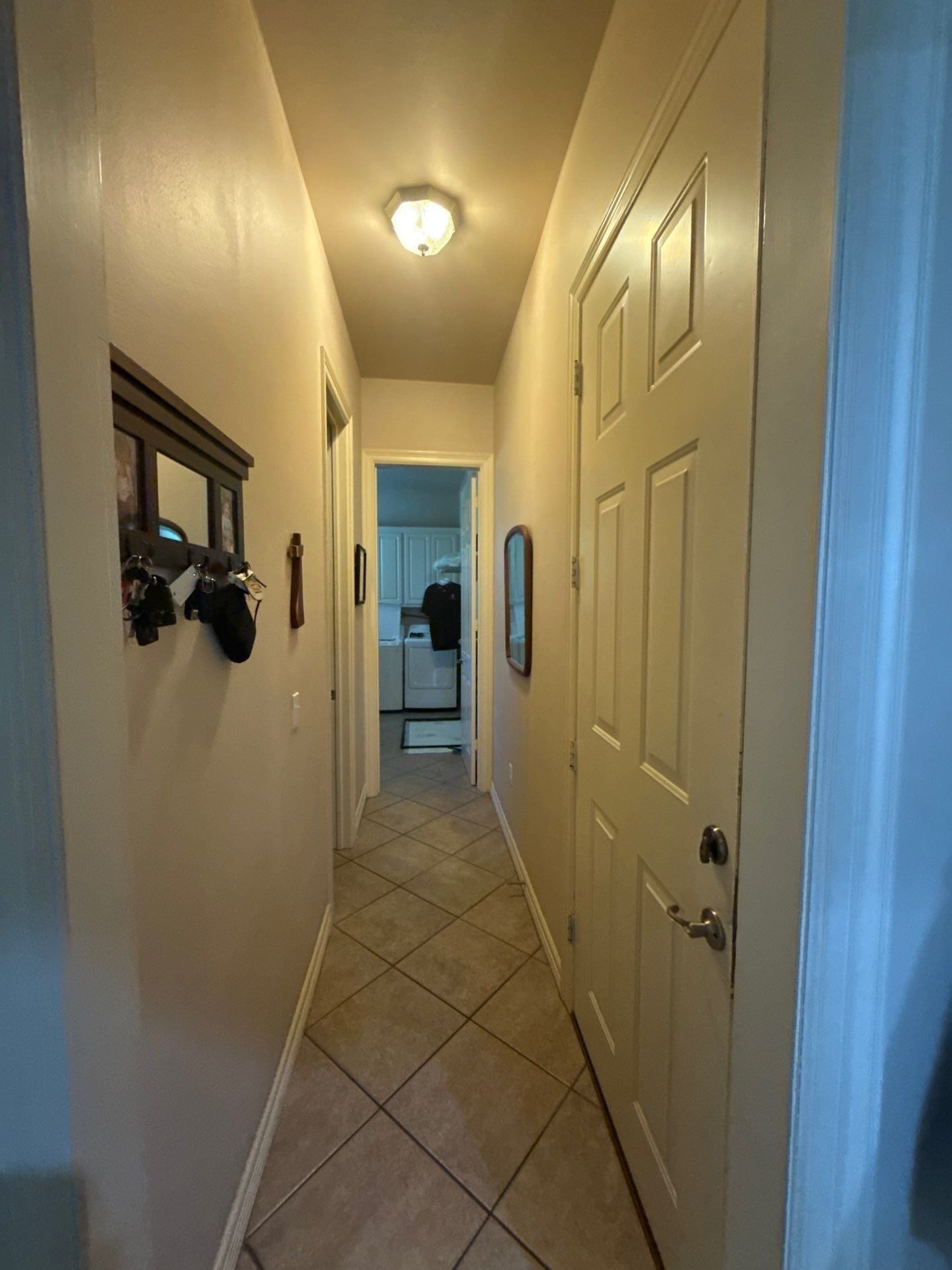 Hallway door and frame ahead of painting
