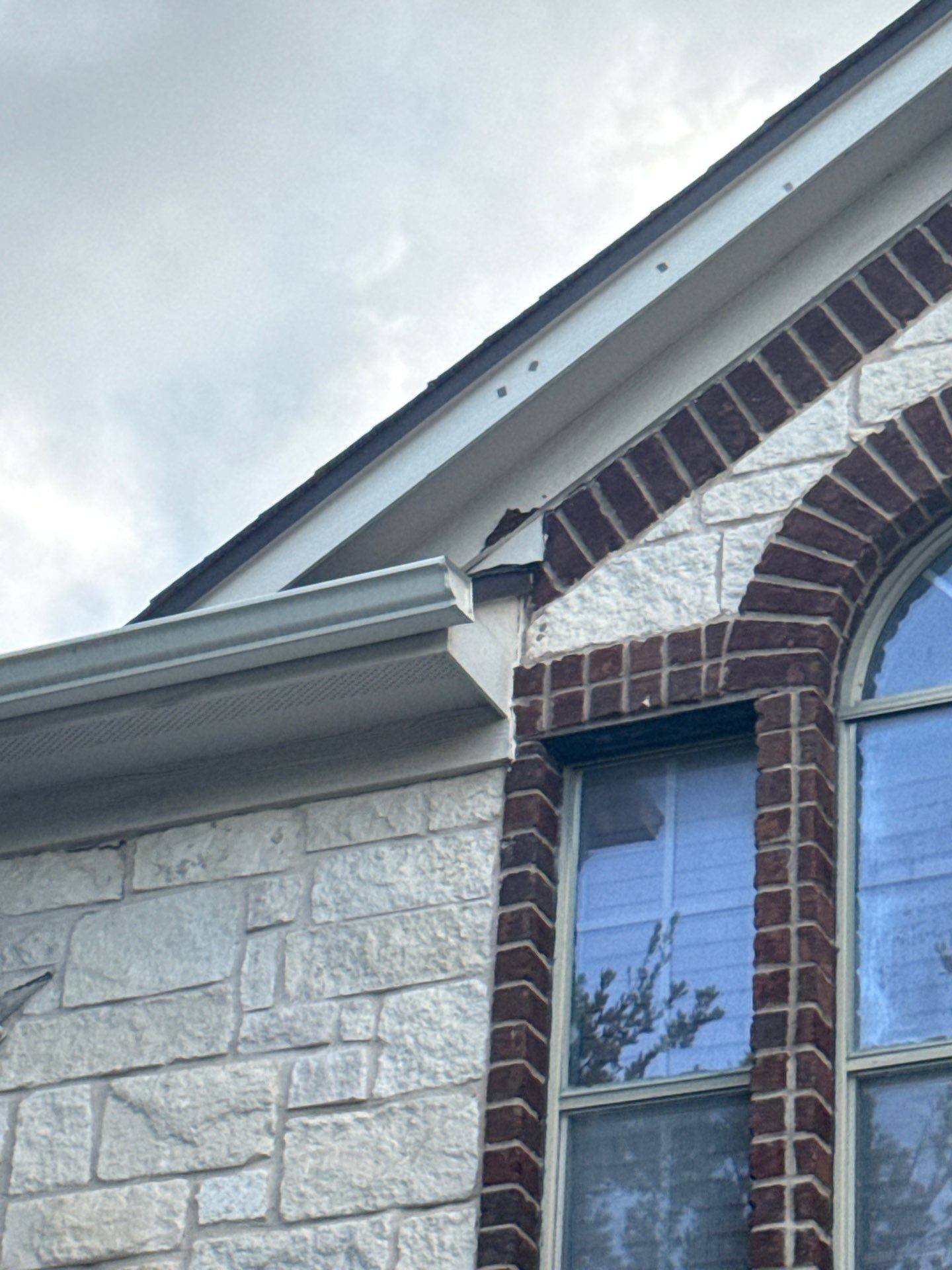 Carpentry repair detail for squirrel damage