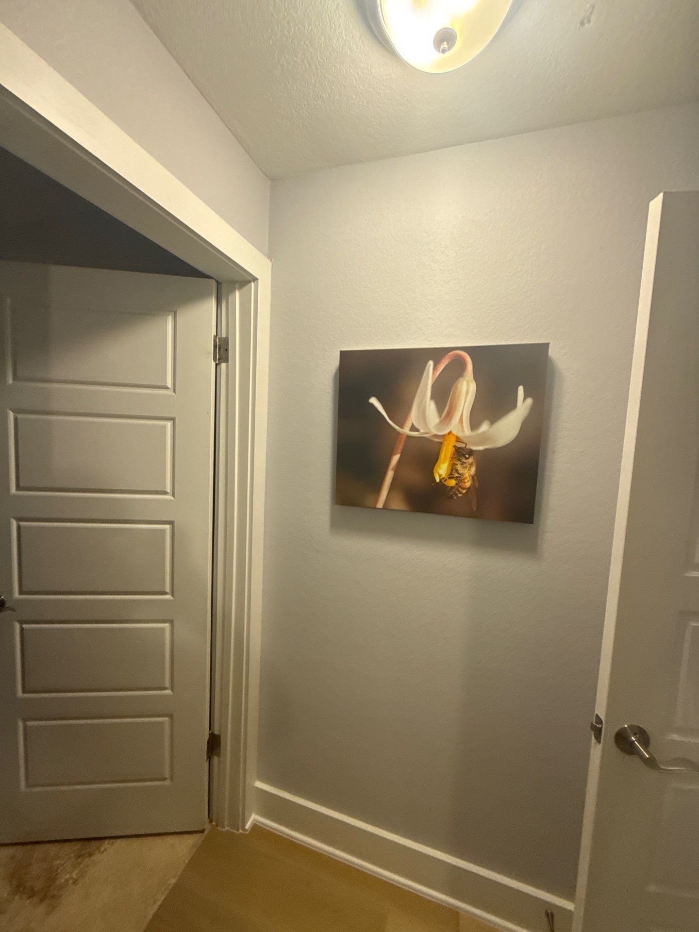 Hallway before painting