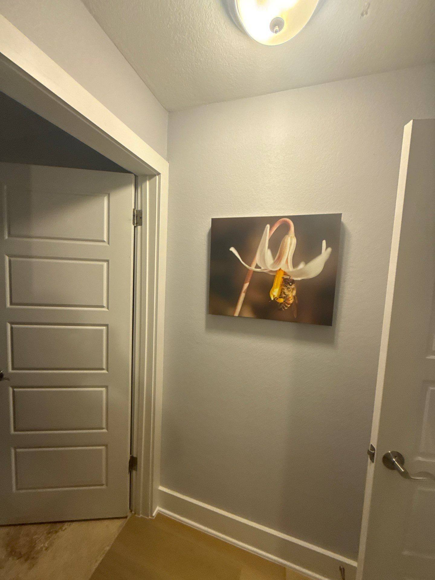 Hallway before painting